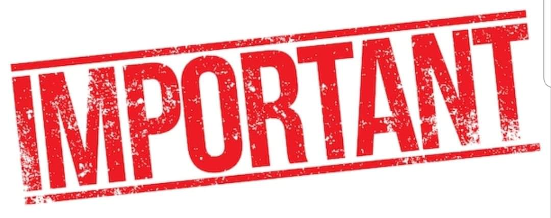 FB_IMG_1544197304030